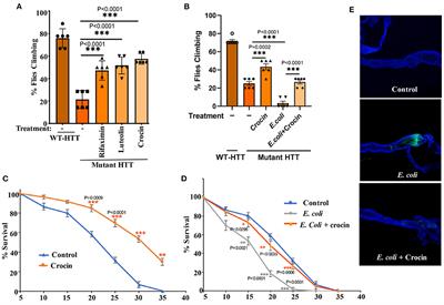 Corrigendum: Gut bacteria regulate the pathogenesis of Huntington's disease in Drosophila model